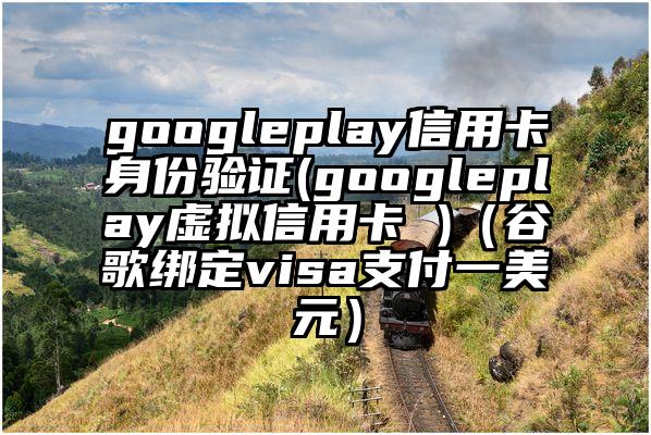 googleplay信用卡身份验证(googleplay虚拟信用卡 )（谷歌绑定visa支付一美元）