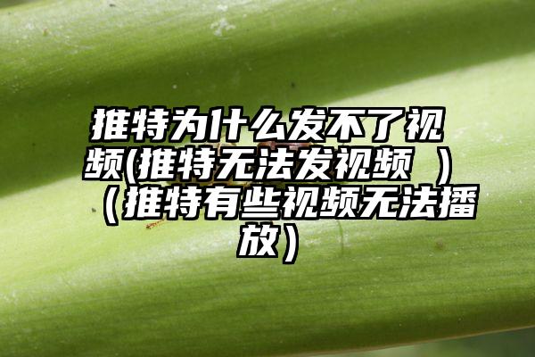 推特为什么发不了视频(推特无法发视频 )(推特有些视频无法播放)