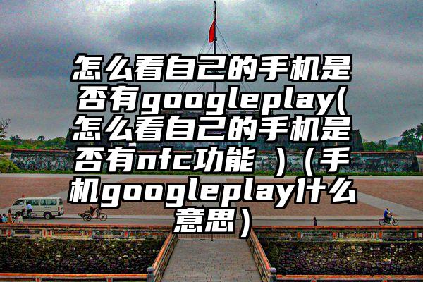 怎么看自己的手机是否有googleplay(怎么看自己的手机是否有nfc功能 )（手机googleplay什么意思）
