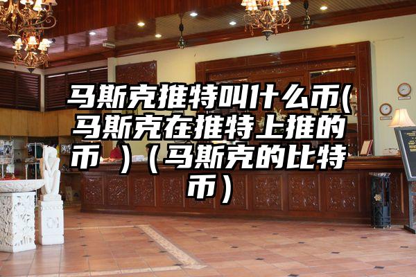 马斯克推特叫什么币(马斯克在推特上推的币 )（马斯克的比特币）