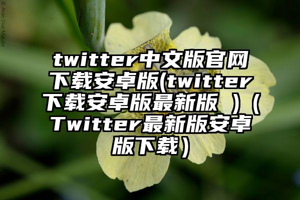 twitter中文版官网下载安卓版(twitter下载安卓版最新版 )（Twitter最新版安卓版下载）
