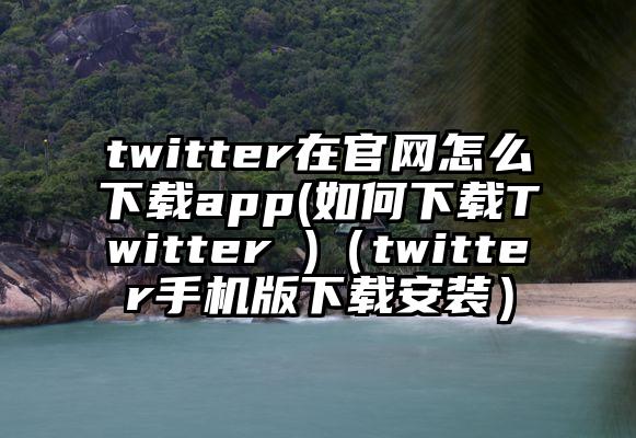 twitter在官网怎么下载app(如何下载Twitter )（twitter手机版下载安装）