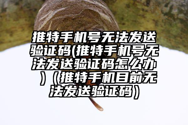 推特手机号无法发送验证码(推特手机号无法发送验证码怎么办 )（推特手机目前无法发送验证码）