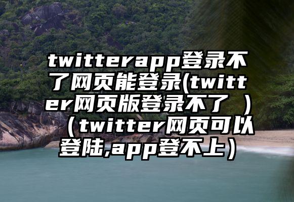 twitterapp登录不了网页能登录(twitter网页版登录不了 )（twitter网页可以登陆,app登不上）