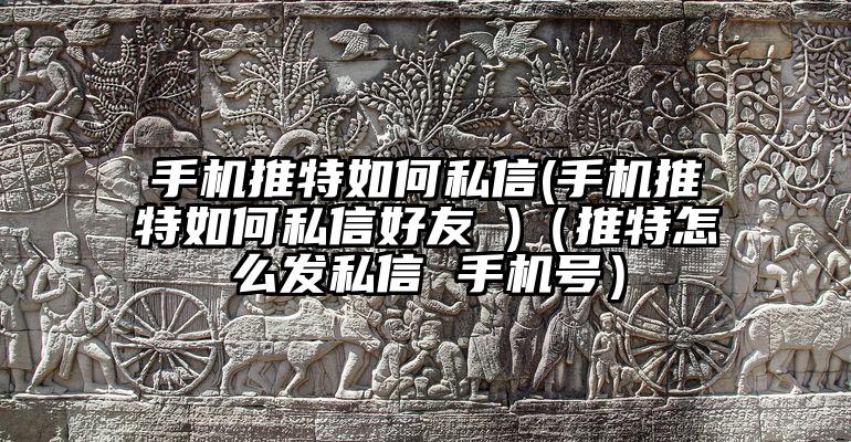 手机推特如何私信(手机推特如何私信好友 )（推特怎么发私信 手机号）