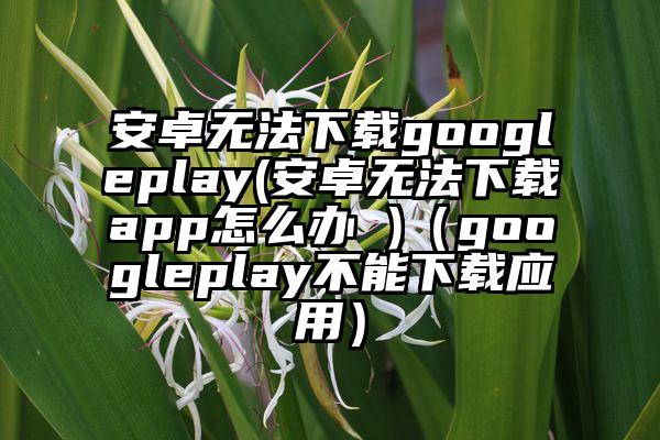 安卓无法下载googleplay(安卓无法下载app怎么办 )（googleplay不能下载应用）
