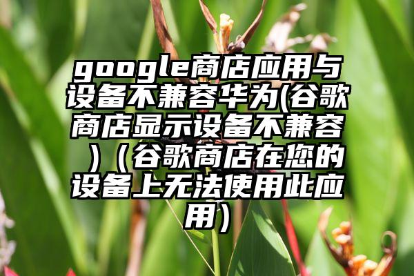 google商店应用与设备不兼容华为(谷歌商店显示设备不兼容 )（谷歌商店在您的设备上无法使用此应用）