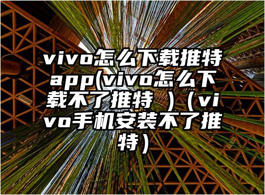 vivo怎么下载推特app(vivo怎么下载不了推特 )（vivo手机安装不了推特）