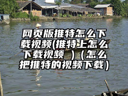 网页版推特怎么下载视频(推特上怎么下载视频 )（怎么把推特的视频下载）