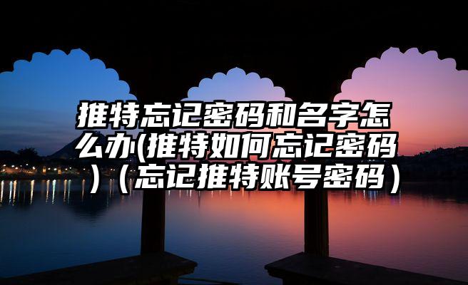 推特忘记密码和名字怎么办(推特如何忘记密码 )（忘记推特账号密码）
