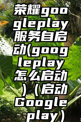 荣耀googleplay服务自启动(googleplay怎么启动 )（启动Google play）