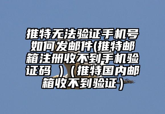 推特无法验证手机号如何发邮件(推特邮箱注册收不到手机验证码 )（推特国内邮箱收不到验证）