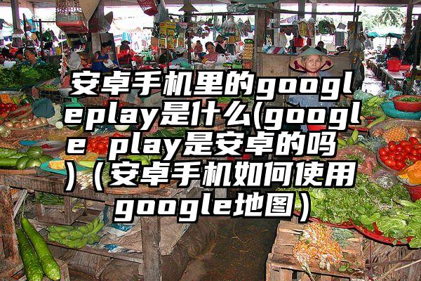 安卓手机里的googleplay是什么(google play是安卓的吗 )（安卓手机如何使用google地图）