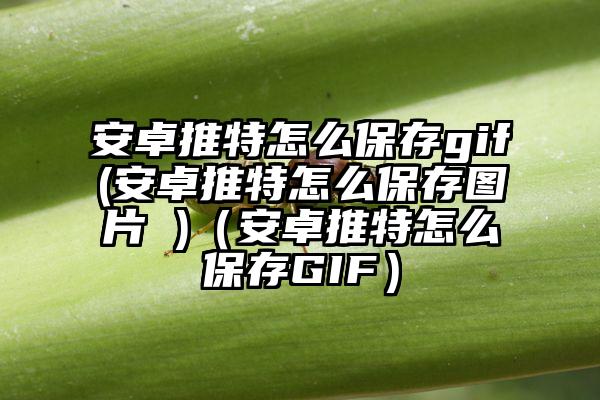 安卓推特怎么保存gif(安卓推特怎么保存图片 )（安卓推特怎么保存GIF）