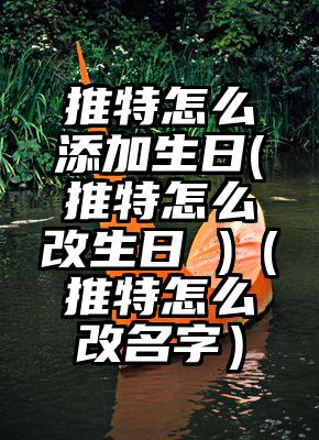 推特怎么添加生日(推特怎么改生日 )（推特怎么改名字）