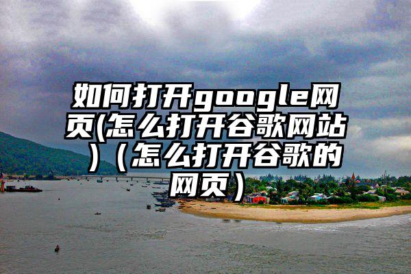 如何打开google网页(怎么打开谷歌网站 )（怎么打开谷歌的网页）
