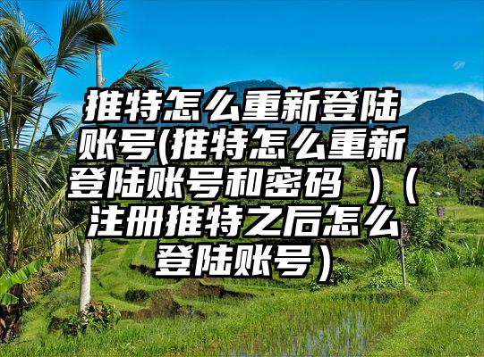 推特怎么重新登陆账号(推特怎么重新登陆账号和密码 )（注册推特之后怎么登陆账号）
