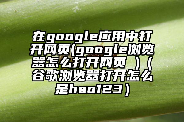 在google应用中打开网页(google浏览器怎么打开网页 )（谷歌浏览器打开怎么是hao123）