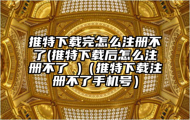 推特下载完怎么注册不了(推特下载后怎么注册不了 )（推特下载注册不了手机号）