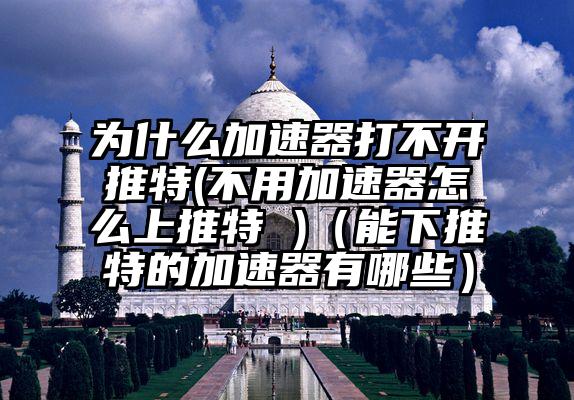 为什么加速器打不开推特(不用加速器怎么上推特 )（能下推特的加速器有哪些）
