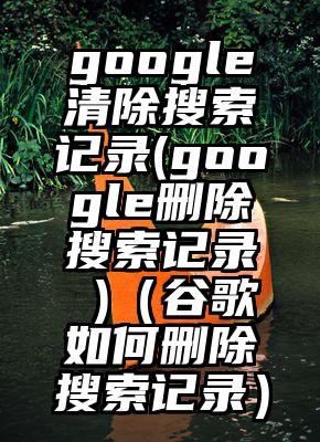 google清除搜索记录(google删除搜索记录 )（谷歌如何删除搜索记录）