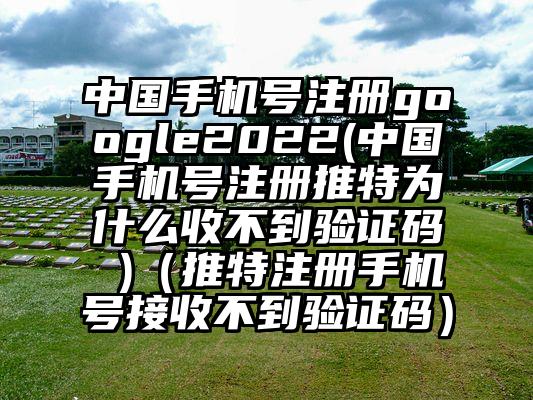 中国手机号注册google2022(中国手机号注册推特为什么收不到验证码 )（推特注册手机号接收不到验证码）