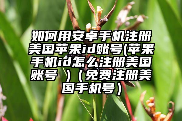 如何用安卓手机注册美国苹果id账号(苹果手机id怎么注册美国账号 )（免费注册美国手机号）