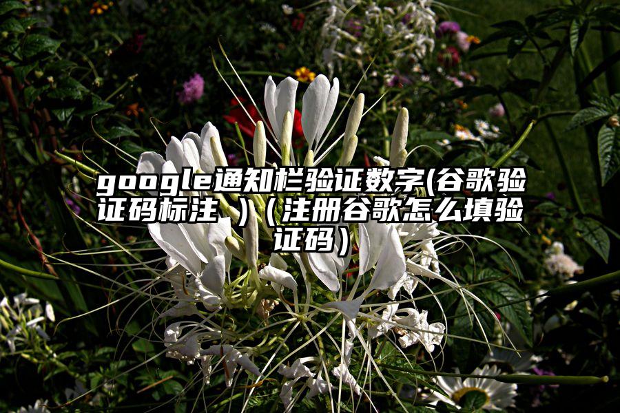 google通知栏验证数字(谷歌验证码标注 )（注册谷歌怎么填验证码）
