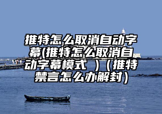 推特怎么取消自动字幕(推特怎么取消自动字幕模式 )（推特禁言怎么办解封）