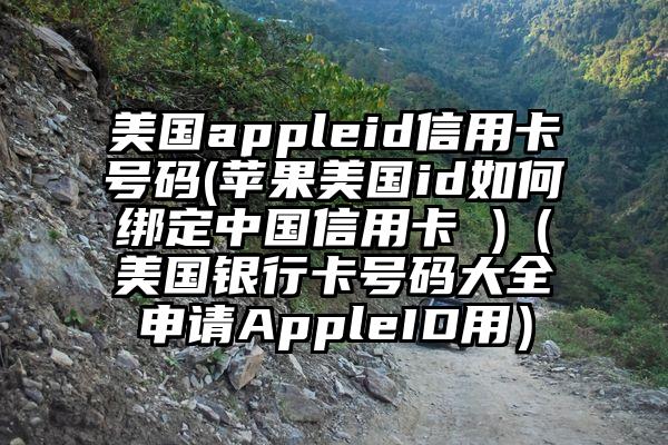 美国appleid信用卡号码(苹果美国id如何绑定中国信用卡 )（美国银行卡号码大全申请AppleID用）