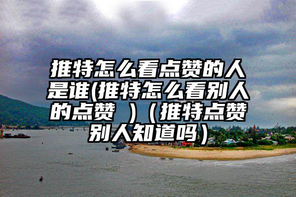 推特怎么看点赞的人是谁(推特怎么看别人的点赞 )（推特点赞别人知道吗）