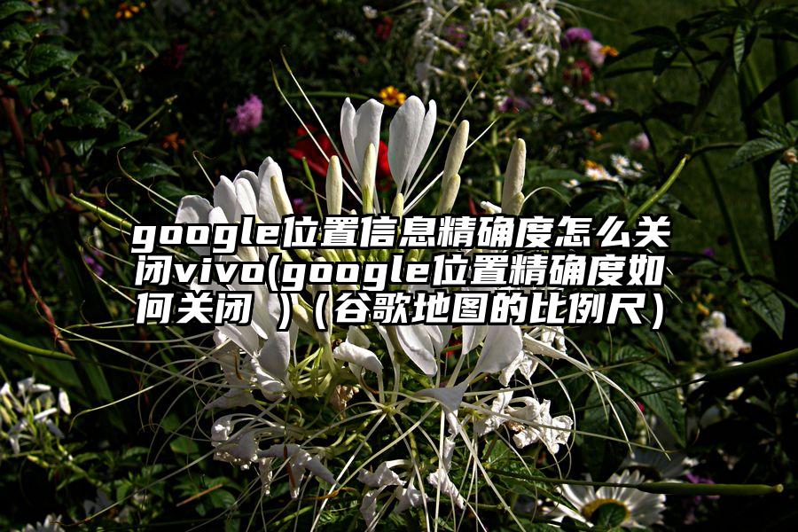 google位置信息精确度怎么关闭vivo(google位置精确度如何关闭 )（谷歌地图的比例尺）