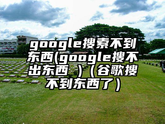 google搜索不到东西(google搜不出东西 )（谷歌搜不到东西了）