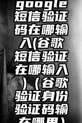 google短信验证码在哪输入(谷歌短信验证在哪输入 )（谷歌验证身份验证码输在哪里）