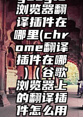 google浏览器翻译插件在哪里(chrome翻译插件在哪 )（谷歌浏览器上的翻译插件怎么用啊）