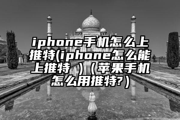 iphone手机怎么上推特(iphone怎么能上推特 )（苹果手机怎么用推特?）