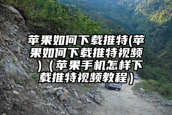 苹果如何下载推特(苹果如何下载推特视频 )（苹果手机怎样下载推特视频教程）