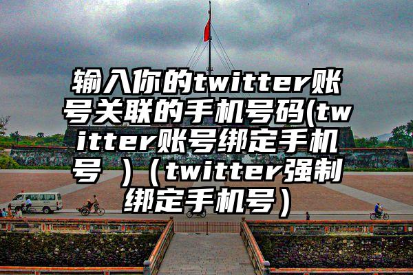 输入你的twitter账号关联的手机号码(twitter账号绑定手机号 )（twitter强制绑定手机号）
