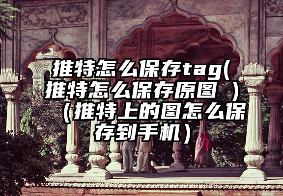 推特怎么保存tag(推特怎么保存原图 )（推特上的图怎么保存到手机）
