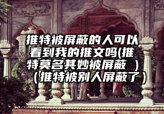 推特被屏蔽的人可以看到我的推文吗(推特莫名其妙被屏蔽 )（推特被别人屏蔽了）