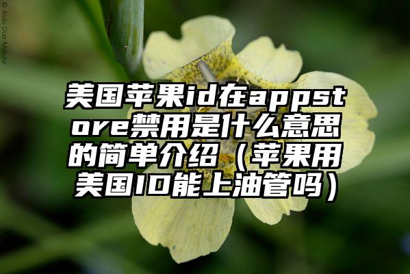 美国苹果id在appstore禁用是什么意思的简单介绍（苹果用美国ID能上油管吗）