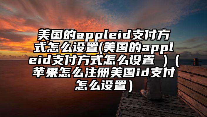 美国的appleid支付方式怎么设置(美国的appleid支付方式怎么设置 )（苹果怎么注册美国id支付怎么设置）