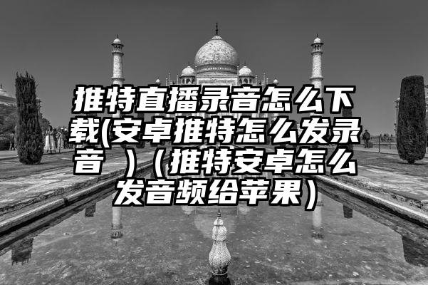 推特直播录音怎么下载(安卓推特怎么发录音 )（推特安卓怎么发音频给苹果）