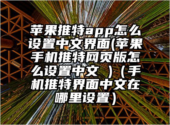 苹果推特app怎么设置中文界面(苹果手机推特网页版怎么设置中文 )（手机推特界面中文在哪里设置）