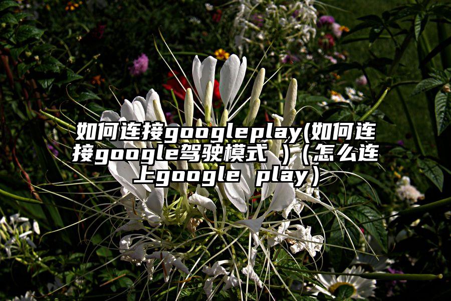 如何连接googleplay(如何连接google驾驶模式 )（怎么连上google play）