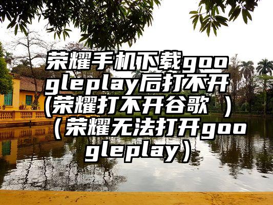 荣耀手机下载googleplay后打不开(荣耀打不开谷歌 )（荣耀无法打开googleplay）