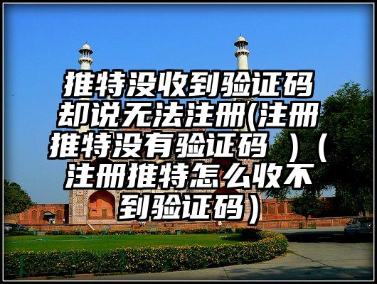 推特没收到验证码却说无法注册(注册推特没有验证码 )（注册推特怎么收不到验证码）