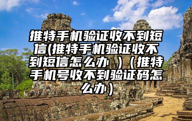 推特手机验证收不到短信(推特手机验证收不到短信怎么办 )（推特手机号收不到验证码怎么办）
