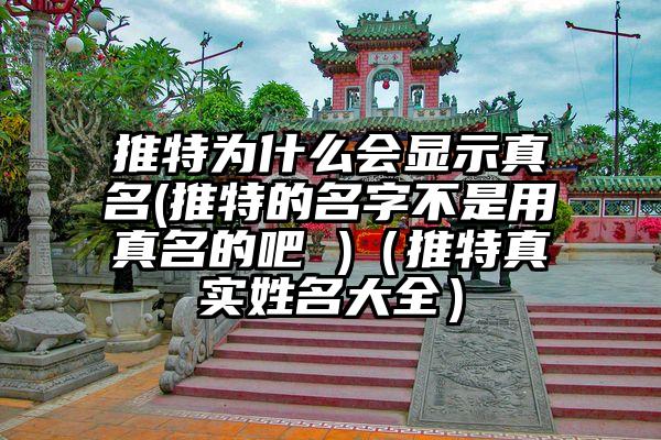 推特为什么会显示真名(推特的名字不是用真名的吧 )（推特真实姓名大全）