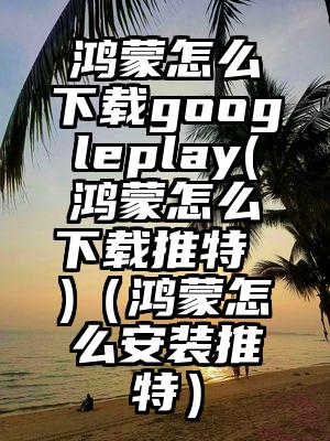 鸿蒙怎么下载googleplay(鸿蒙怎么下载推特 )（鸿蒙怎么安装推特）